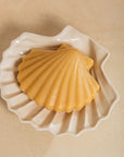 Coffret Monochromic - Savon + porte-savon coquillage