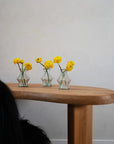 Vase avec fleurs jaunes