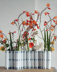 Vase d'avril tse tse en porcelaine blanche
