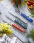Coffret de couteaux de la célèbre marque Opinel.