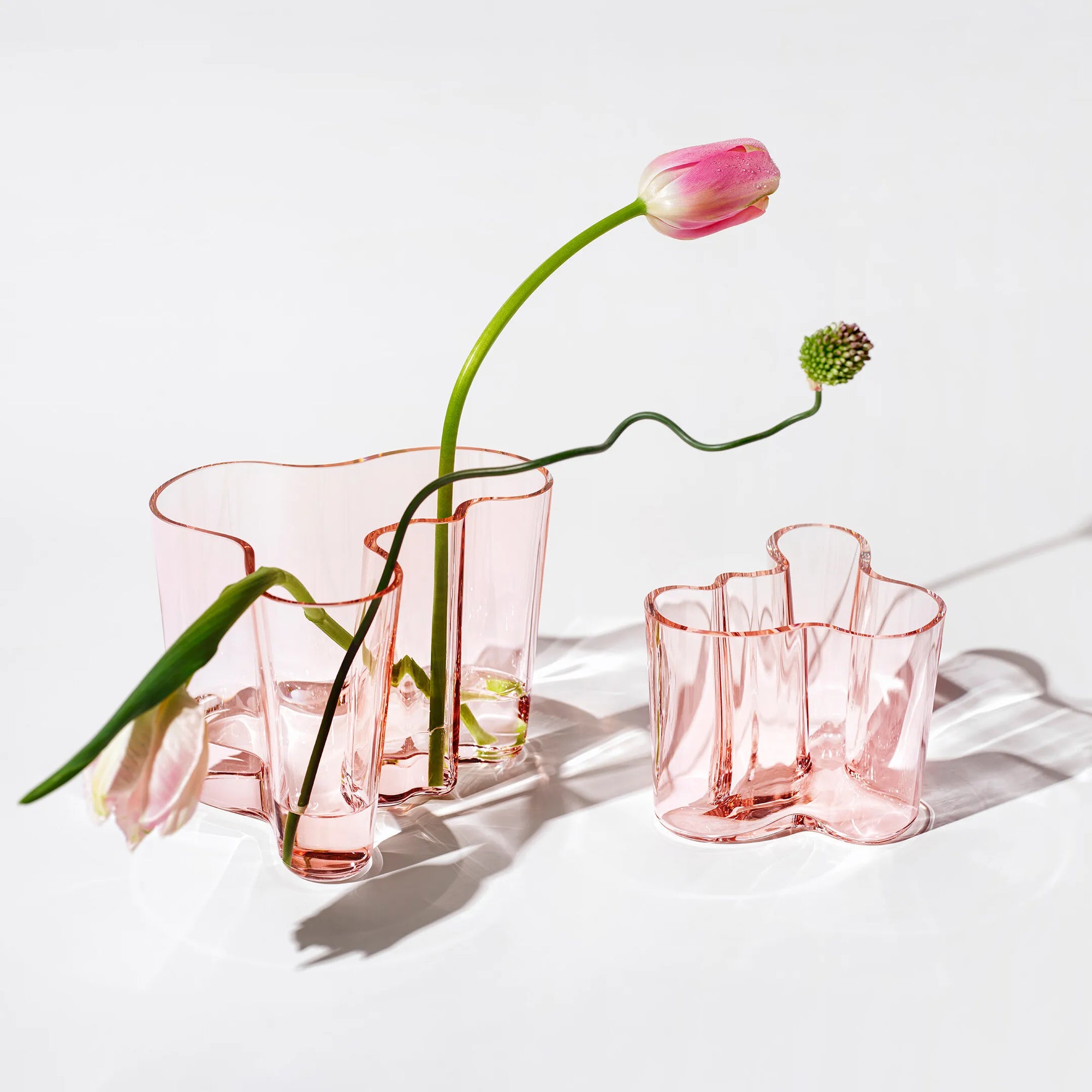 Vase Avar aalto de Iitala rose saumon