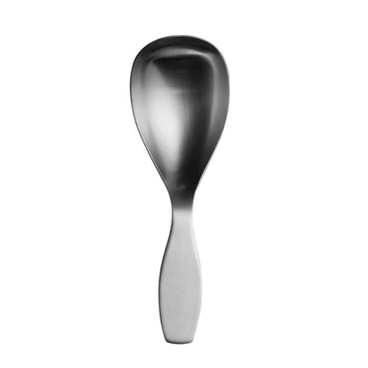 Cuillère Tool de service de taille petite pour servir les salades estivales, du riz ou des pates