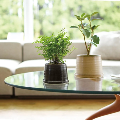 Cache-pot en porcelaine beige