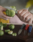 Coffret Les essentiels de cuisine - Primo